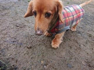 f:id:roukenhome-ann:20181119053153j:plain