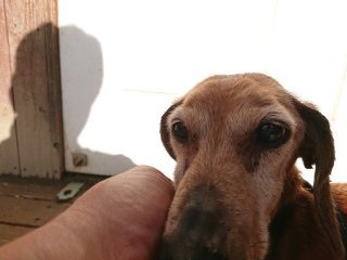 f:id:roukenhome-ann:20181119053204j:plain