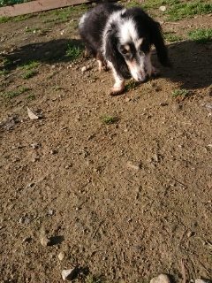 f:id:roukenhome-ann:20181119053446j:plain