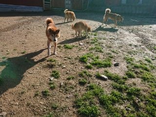 f:id:roukenhome-ann:20181119053450j:plain