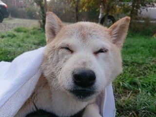 f:id:roukenhome-ann:20181119053550j:plain