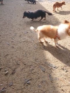 f:id:roukenhome-ann:20181119053556j:plain