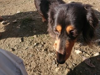 f:id:roukenhome-ann:20181119053641j:plain