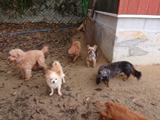 f:id:roukenhome-ann:20181119053733j:plain