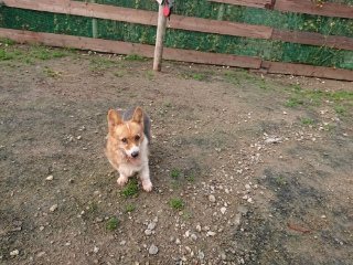 f:id:roukenhome-ann:20181119053752j:plain