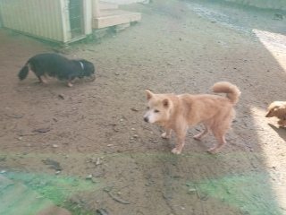 f:id:roukenhome-ann:20181119053756j:plain