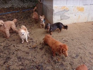 f:id:roukenhome-ann:20181119053802j:plain