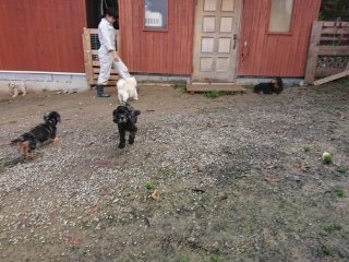 f:id:roukenhome-ann:20181119053850j:plain