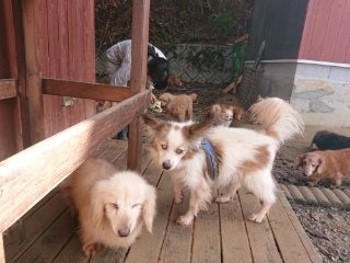 f:id:roukenhome-ann:20181119053854j:plain