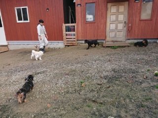 f:id:roukenhome-ann:20181119053910j:plain