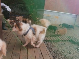 f:id:roukenhome-ann:20181119053914j:plain