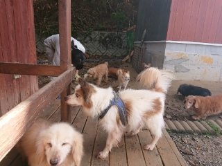 f:id:roukenhome-ann:20181119053918j:plain