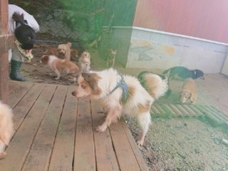 f:id:roukenhome-ann:20181119053956j:plain