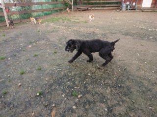 f:id:roukenhome-ann:20181119054105j:plain