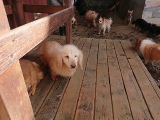 f:id:roukenhome-ann:20181119054123j:plain