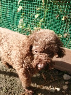 f:id:roukenhome-ann:20181119054128j:plain