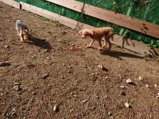f:id:roukenhome-ann:20181119054218j:plain