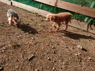 f:id:roukenhome-ann:20181119054225j:plain