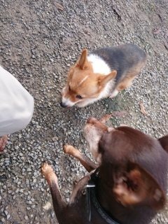 f:id:roukenhome-ann:20181119054247j:plain