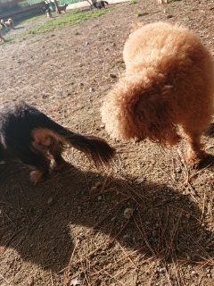 f:id:roukenhome-ann:20181119054255j:plain