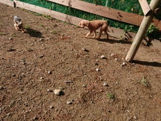 f:id:roukenhome-ann:20181119054302j:plain