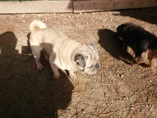 f:id:roukenhome-ann:20181119054402j:plain