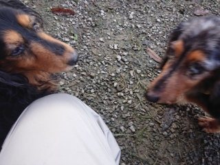 f:id:roukenhome-ann:20181119054451j:plain