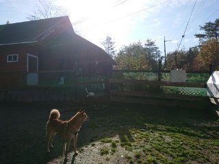 f:id:roukenhome-ann:20181119054533j:plain