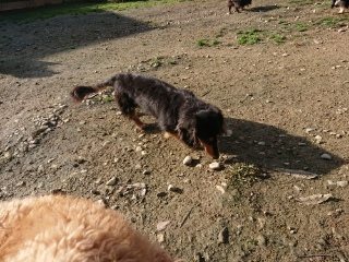 f:id:roukenhome-ann:20181119054702j:plain