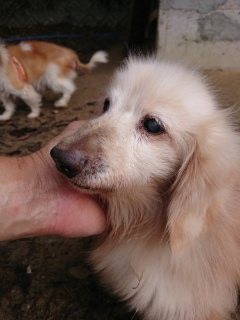 f:id:roukenhome-ann:20181119082156j:plain