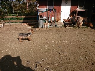 f:id:roukenhome-ann:20181119082201j:plain
