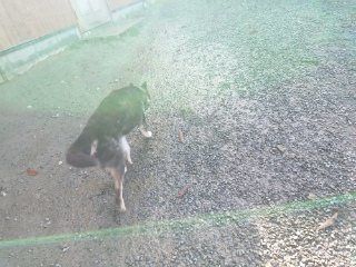 f:id:roukenhome-ann:20181119082208j:plain