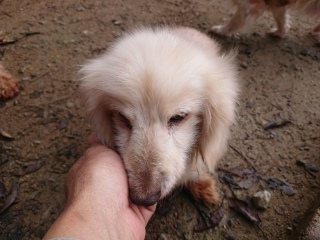 f:id:roukenhome-ann:20181119082212j:plain