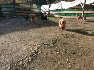 f:id:roukenhome-ann:20181119082221j:plain