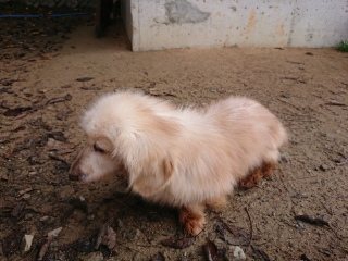 f:id:roukenhome-ann:20181119082249j:plain