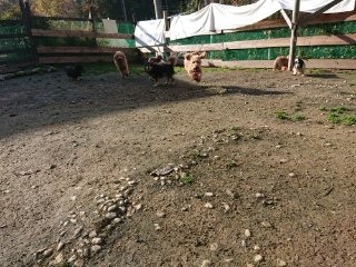 f:id:roukenhome-ann:20181119082256j:plain