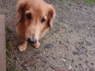 f:id:roukenhome-ann:20181119082316j:plain