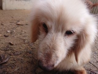 f:id:roukenhome-ann:20181119082331j:plain