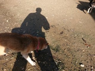 f:id:roukenhome-ann:20181119082341j:plain
