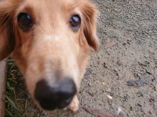 f:id:roukenhome-ann:20181119082349j:plain