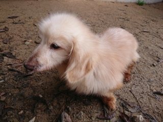 f:id:roukenhome-ann:20181119082353j:plain