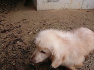 f:id:roukenhome-ann:20181119082357j:plain