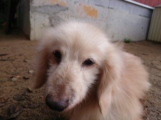 f:id:roukenhome-ann:20181119082417j:plain