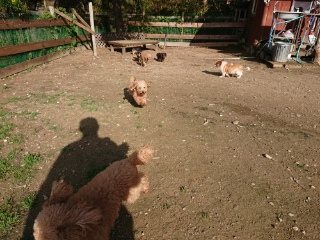 f:id:roukenhome-ann:20181119082425j:plain