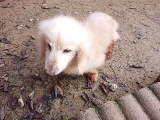 f:id:roukenhome-ann:20181119082450j:plain