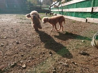 f:id:roukenhome-ann:20181119082512j:plain