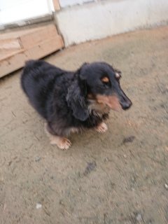 f:id:roukenhome-ann:20181119082520j:plain