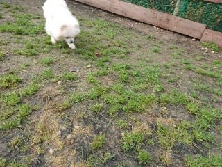 f:id:roukenhome-ann:20181119082554j:plain