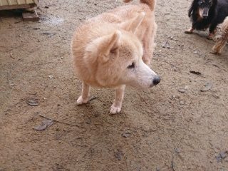 f:id:roukenhome-ann:20181119082602j:plain