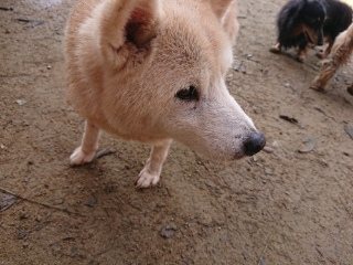 f:id:roukenhome-ann:20181119082606j:plain